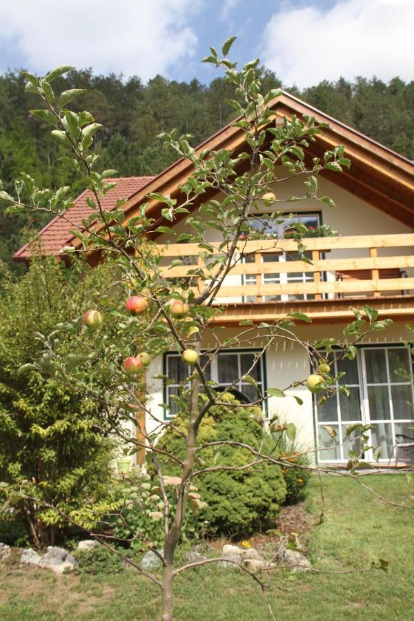 Ferienwohnung Purbach Muggendorf  ภายนอก รูปภาพ